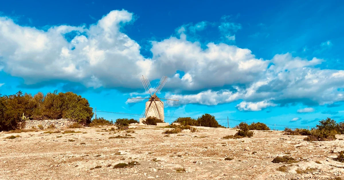 Historic Windmill in Formentera Surrounded by Spring Landscape